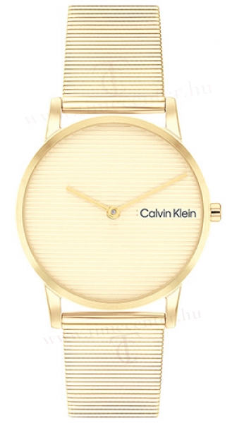Calvin Klein CK25100035 karóra
