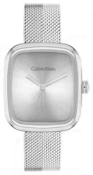 Calvin Klein CK25100098 karóra