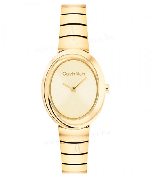Calvin Klein CK25100147 karóra