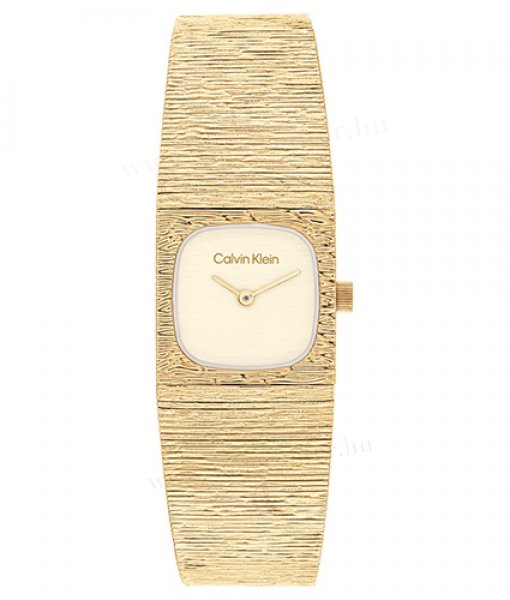 Calvin Klein CK25100178 karóra