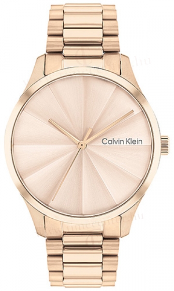 Calvin Klein CK25200231 karóra