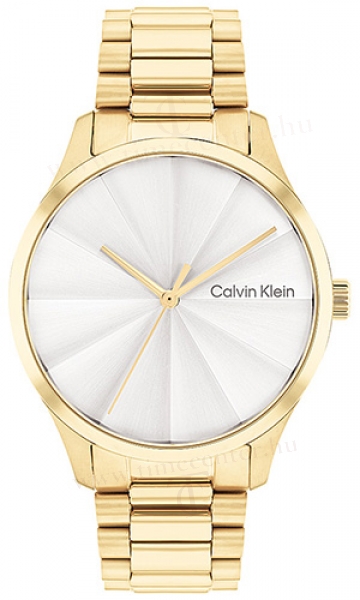 Calvin Klein CK25200232 karóra