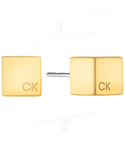 Calvin Klein Ékszer CKJ35000246 fülbevaló